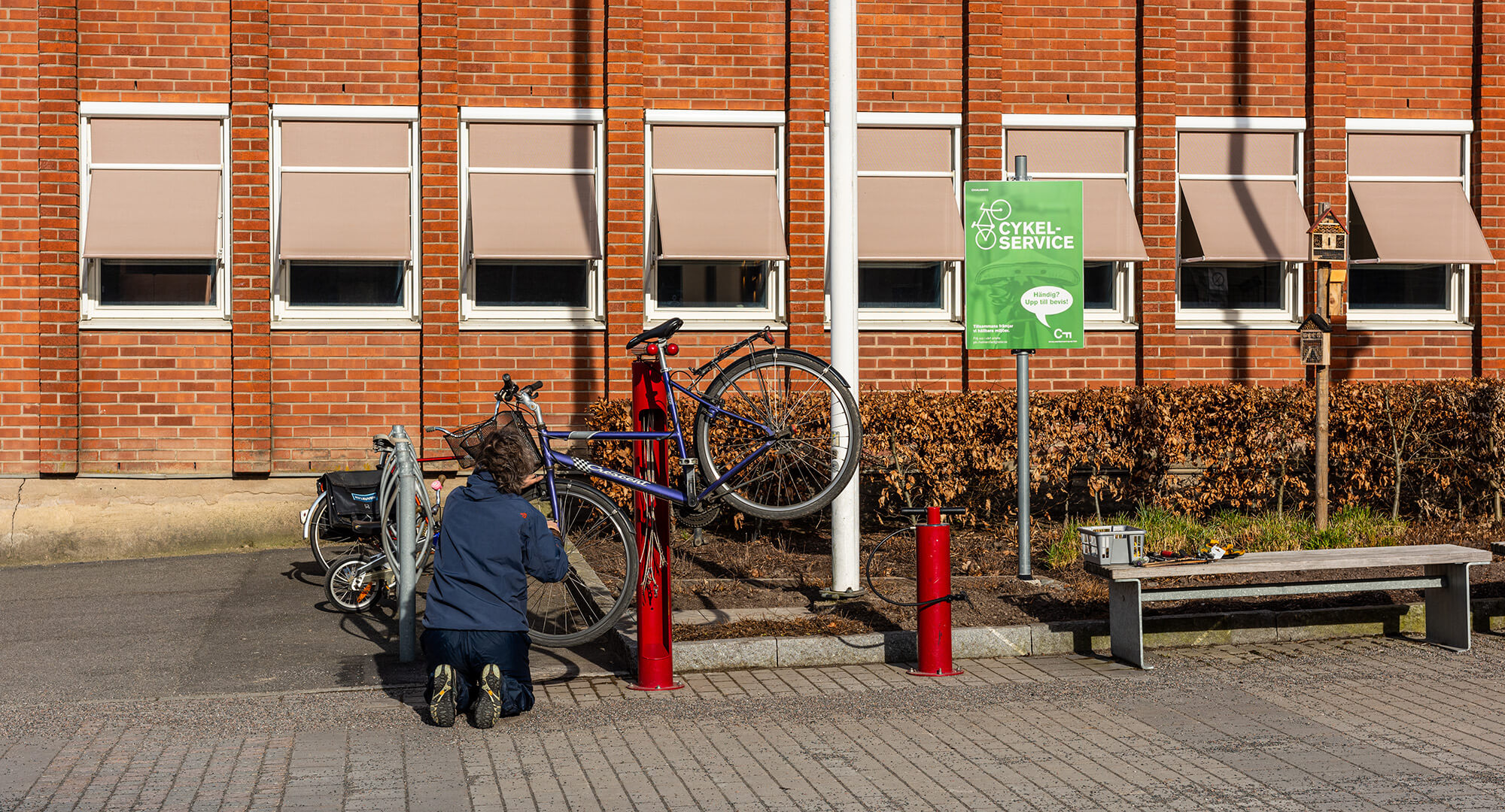 Bike Repair Stand